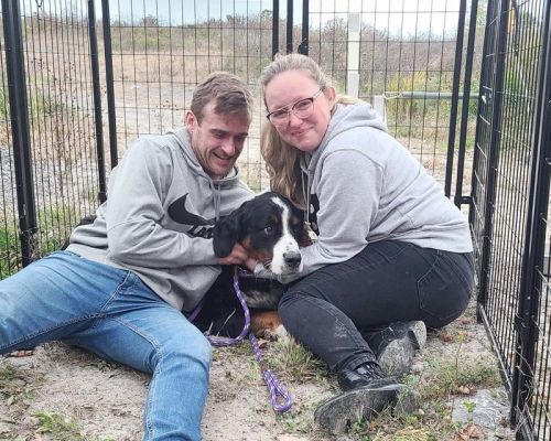 Dave & Amanda Hallett reunited with their dog Brady who had been missing for 40 Days.